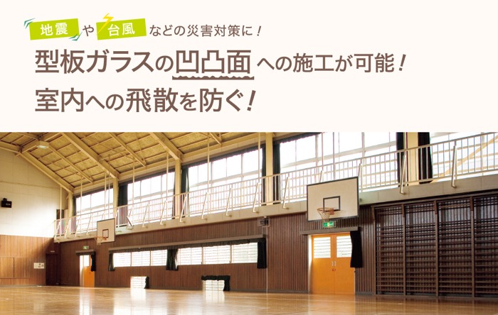 フリーフィット